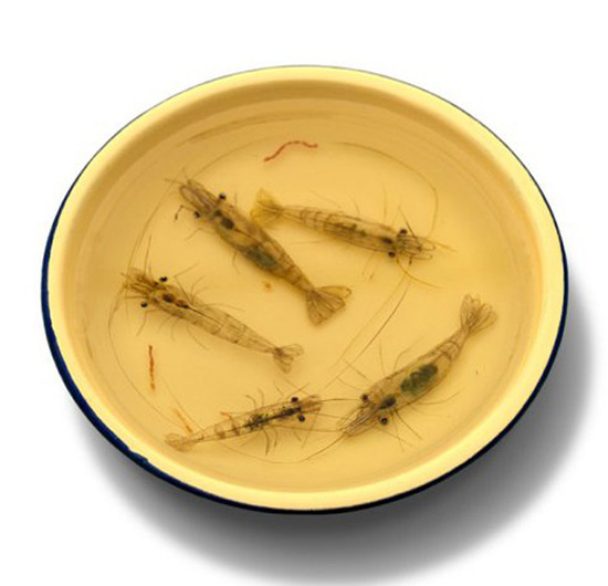 年年有魚水晶滴膠樹脂畫